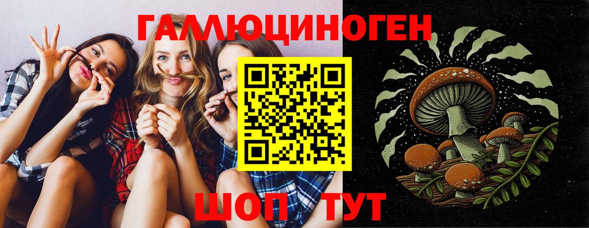 Псилоцибиновые грибы MAGIC MUSHROOMS  Вход с VPN  Южноуральск 