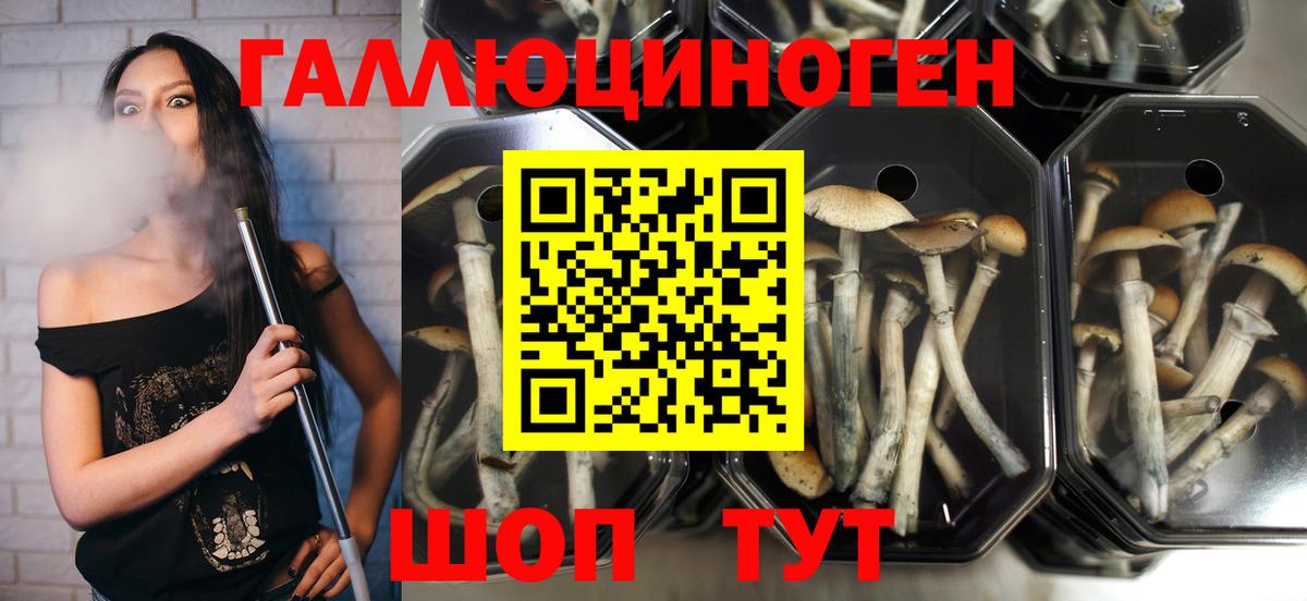 Псилоцибиновые грибы MAGIC MUSHROOMS Южноуральск